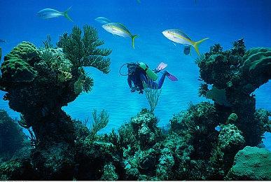 《Dr. Fetus' Mean Meat Machine》6月22日发售 支持简中